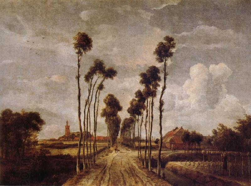 Meindert Hobbema Avenue at Middelharnis oil painting picture